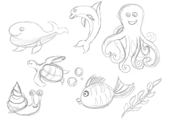 Estrella De Mar Medusasストックベクター ロイヤリティフリーestrella De Mar Medusasイラスト ページ 36 Depositphotos