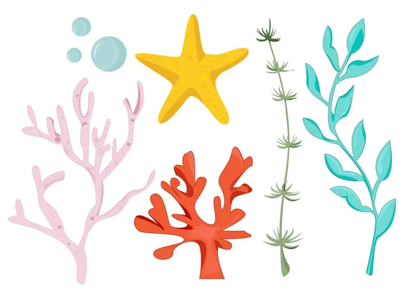 Σύνολο φύκη. Συλλογή από φύκια κινουμένων σχεδίων. Απεικόνιση διανύσματος για παιδιά υποβρύχιων φυτών. — Διανυσματικό Αρχείο