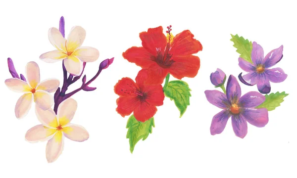 Stor samling eller uppsättning realistiska blommor för design — Stockfoto