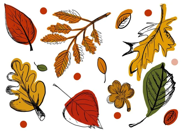 Autumn leaves set backgrounds or elements for design