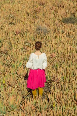 Aloe vera alan Fuerteventura, Kanarya Adaları, İspanya kadın onu dönüm geri.