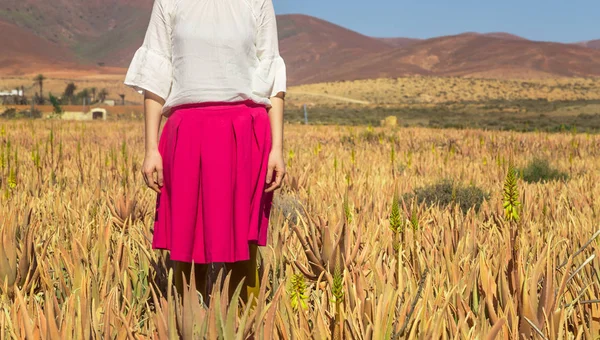 Young Woman Traditional Clothes Aloe Vera Field Fuerteventura Canary Islands — Stock Photo, Image