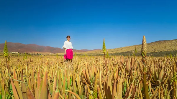 Mladá Žena Stojí Aloe Vera Pole Fuerteventura Kanárské Ostrovy Španělsko — Stock fotografie