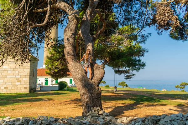 Young Teenage Girl Standing Large Pine Tree — Stock Photo, Image