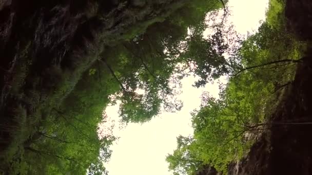 Действие Видео Двух Мужчин Прыгающих Бассейн Каньона Долине Сока Словении — стоковое видео