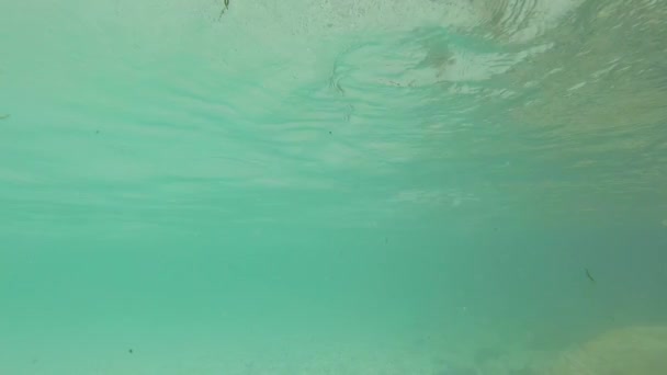 水中撮影のソカ川 スロベニアの青緑色の水をクリアします — ストック動画