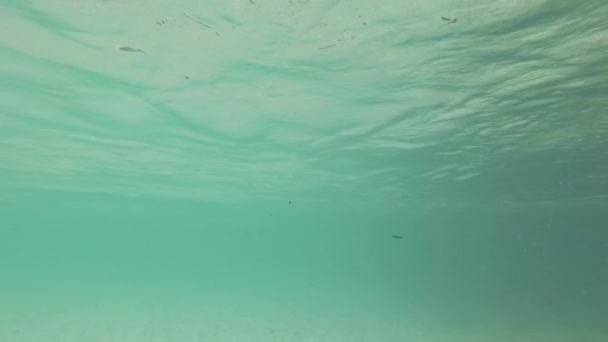Underwater Shot Clear Turquoise Water Soca River Slovenia — Stock Video