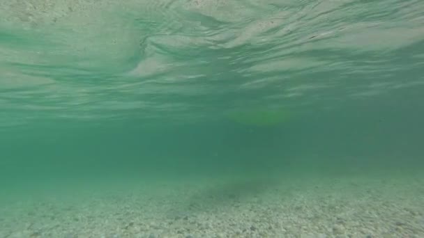 Υποβρύχιο Πυροβολισμό Σαφές Τυρκουάζ Νερό Στον Ποταμό Soca Σλοβενία — Αρχείο Βίντεο