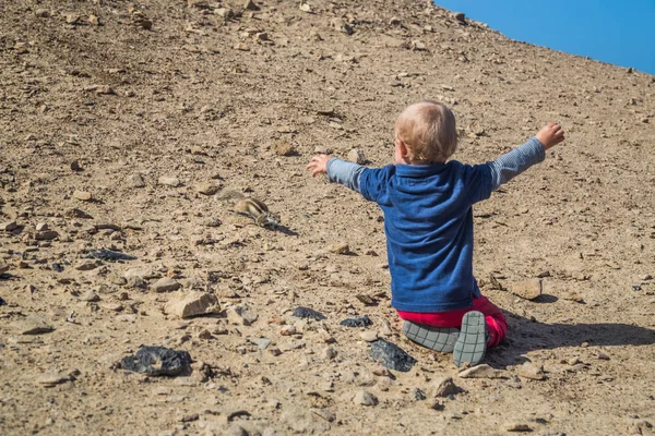 Baby Grond Spelen Naast Een Kleine Eekhoorn Fuerteventura — Stockfoto