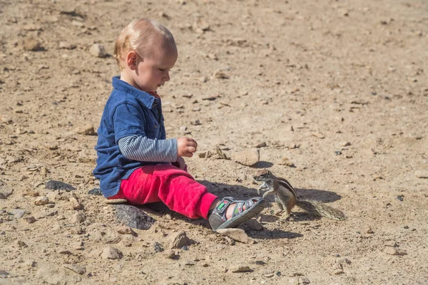 Baby Auf Dem Boden Spielt Neben Einem Kleinen Eichhörnchen Auf — Stockfoto