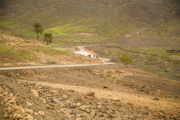 Petite Maison Traditionnelle Long Route Latérale Macadam Plage Cofete Fuerteventura — Photo