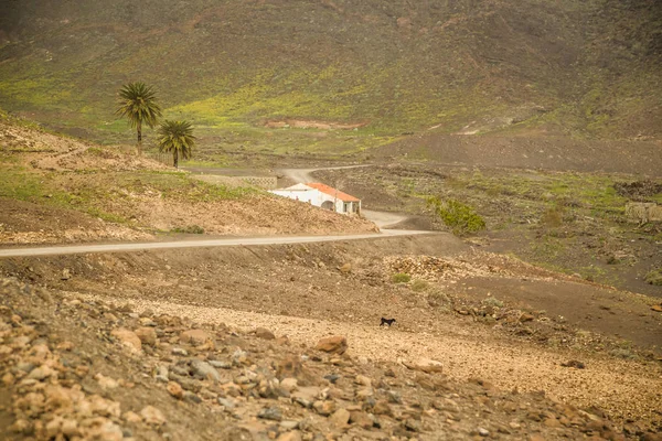 フェルテベントゥラ島 コフェテ ビーチ側砕石道に沿って小さな伝統的な家 — ストック写真