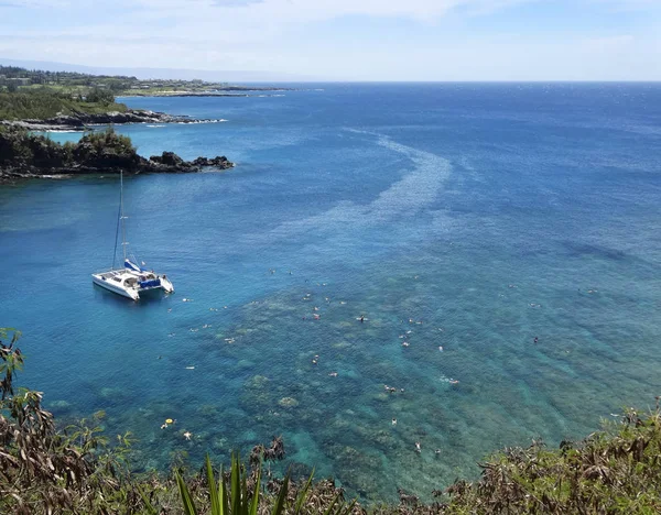 夏威夷茂宜岛 Honolua 湾浮潜的珊瑚礁 — 图库照片