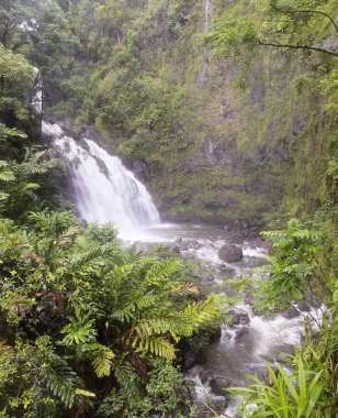 Üst Waikani bir görünümünü düşer veya üç Falls, Hana, Maui, Hawaii giden yolda ayılar