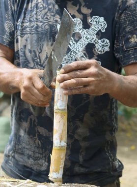 Bir yerel bir pala kabuğu şeker kamışı kabuğu, Lahaina, Maui, Ha kullanır