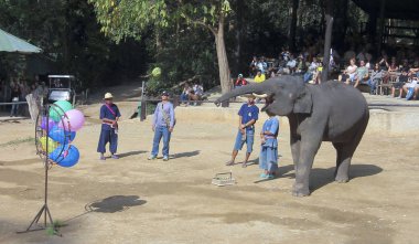 Chiang Mai, Tayland, 28 Aralık. Maesa Elephant Camp 28 Aralık 2018, Chiang Mai, Tayland yakın tarih. Maesa Elephant Camp Haritayı Chiang Mai, Tayland. 