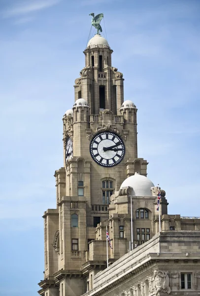 En lever fågel på en spira i Royal Liver Building, Liverpool, — Stockfoto