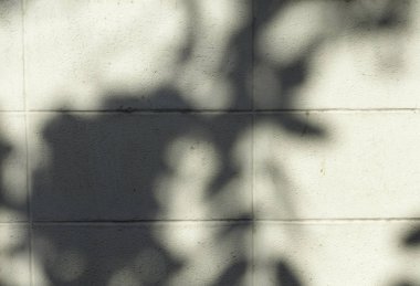 arka plan için duvar taşı üzerinde gölge