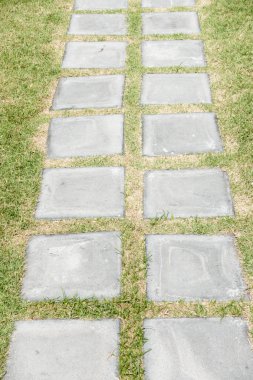 Bahçe çim üzerinde taş yolu