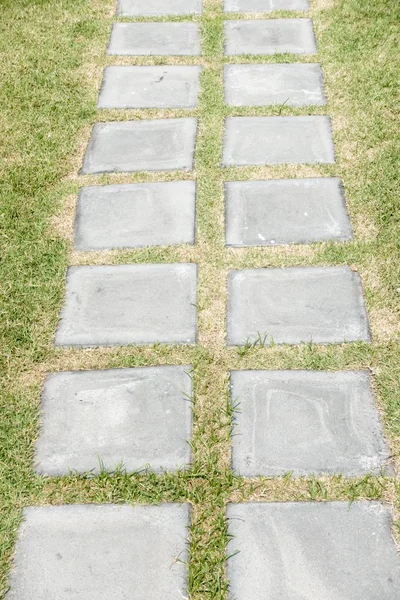 Bahçe çim üzerinde taş yolu