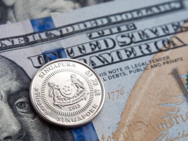 bize dolar değişimi singapur para