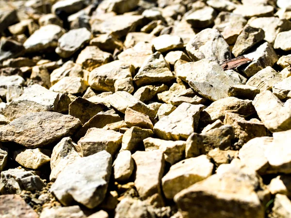 Rocks on the ground texture
