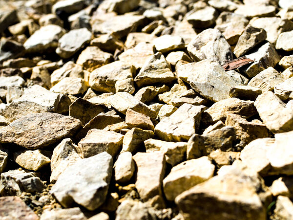 Rocks on the ground texture 