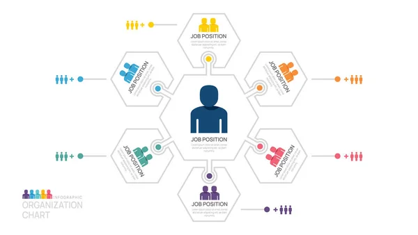 带有业务化身图标的组织结构图的Infographic模板 商业用矢量信息图 矢量图形