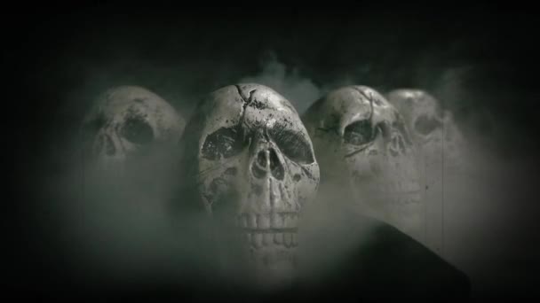 Old Film Look Halloween Set Skulls — Stock Video