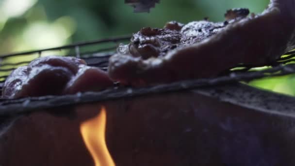 Fläskkött Blir Grillad Med Lite Varm Eld Slow Motion Stockvideo