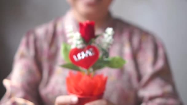 面带微笑的亚洲女士送给你一朵红玫瑰花盆 为爱之一 情人节慢动作 — 图库视频影像