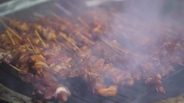 Many Kinds Meat Getting Grill Stove Smoke — Stock Video