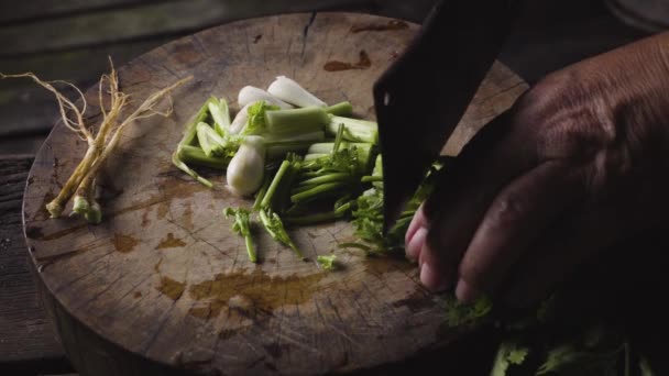 一位老太太的手在木切博阿上切春洋葱和香菜 — 图库视频影像