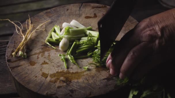 Manos Una Anciana Picando Cebolla Primavera Cilantro Una Boa Corte — Vídeos de Stock