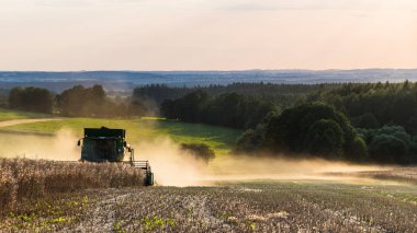 Kolza tarafından bir araya yaz peyzaj hasat. Brassica napus. Modern hasat makinesi, Kuru olgun tecavüz, anız ve woods tozlu alan üzerinde güzel manzara. Tarım, çiftlik, ekoloji.