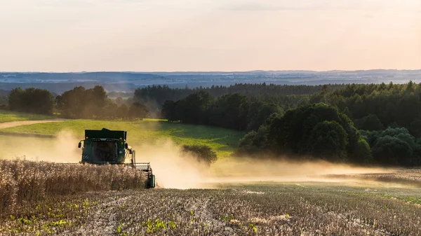 Harvesting Rapeseed Combine Summer Landscape Brassica Napus Beautiful View Modern — Stock Photo, Image