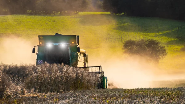 Rapeseed Harvesting Combine Summer Field Brassica Napus Rural Landscape Modern — Stock Photo, Image