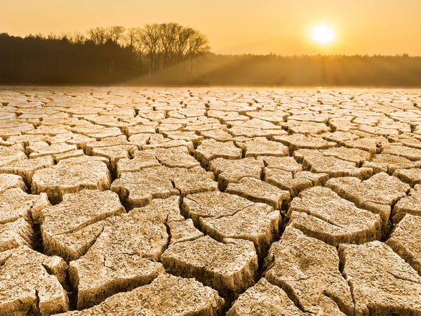 Suelo Agrietado Reseco Paisaje Amanecer Primer Plano Sequía Una Naturaleza — Foto de Stock