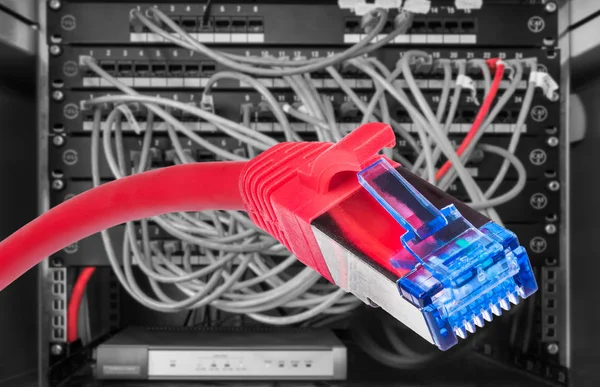 Kabel STP-FTP jaringan merah dengan konektor RJ-45 close-up — Stok Foto