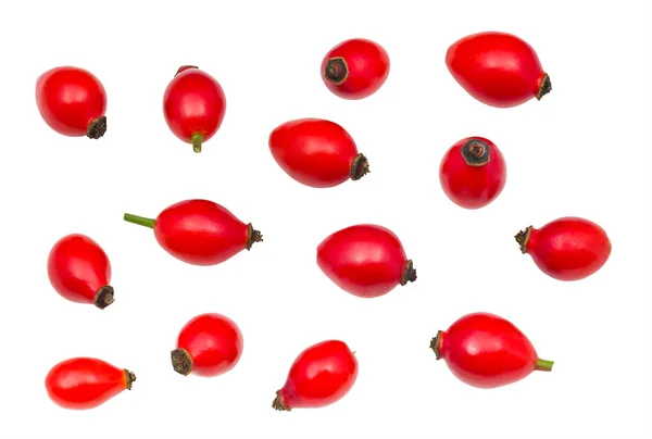 Red rose hips collection isolated on a white background. Fructus cynosbati — Stock Photo, Image