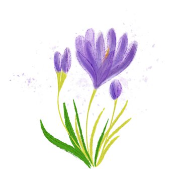 Suluboya mor çiçek. Botanik dijital illüstrasyon