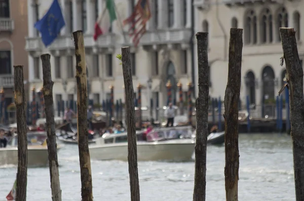 Enfoque Selectivo Postes Madera Roble Europeo Canal Grande Venecia Italia —  Fotos de Stock