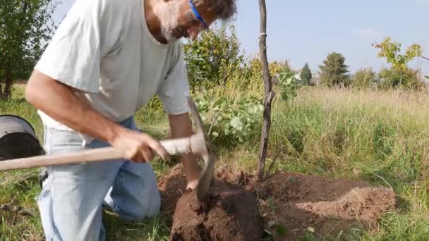新しいリンゴの木を植える庭で作業の男性 — ストック動画