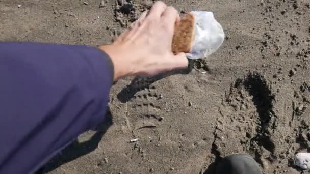 Land Cleaning Trash Beach — Stock Video