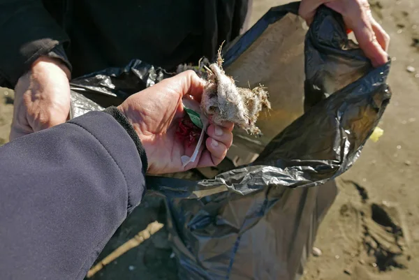 Hand Sammelt Müll Einem Sandstrand — Stockfoto