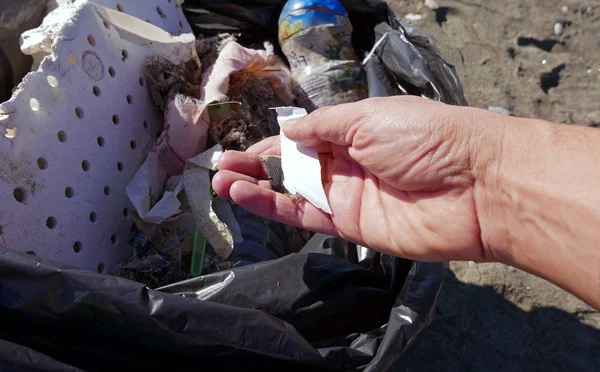 Hand Picking Trash Sandy Beach — Stock Photo, Image