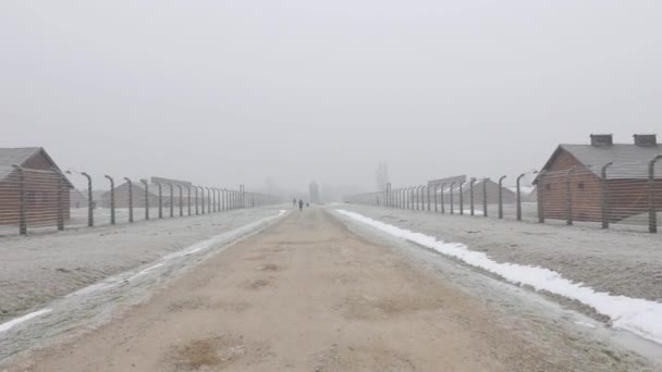 Krakow Polonia Enero 2019 Campo Concentración Exterminio Birkenau Invierno — Vídeo de stock