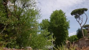 Aşağıdan Giardino degli Aranci 'nin güzel terası, Roma, İtalya