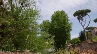 Aşağıdan Giardino degli Aranci 'nin güzel terası, Roma, İtalya