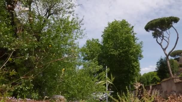 Bella Terrazza Del Giardino Degli Aranci Vista Dal Basso Roma — Video Stock